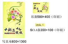 新品绽放图片