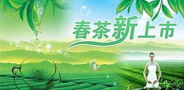 春茶上市圖片