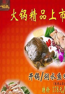 火锅店广告图片