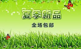 夏季新品圖片