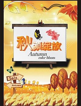 秋顏綻放圖片
