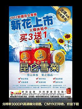 昆侖雪菊圖片
