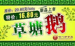 草塘鵝海報圖片