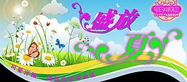 盛放夏图片