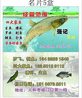 魚名片圖片
