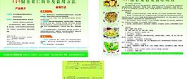 銀杏食品宣傳頁圖片