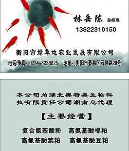 名片模板圖片