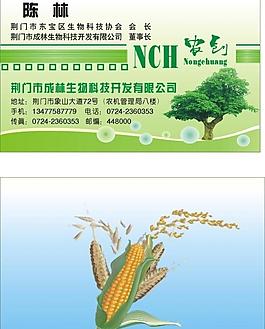 名片圖片