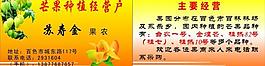 名片圖片