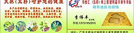 名片圖片