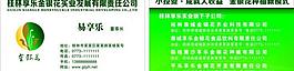 名片模板圖片