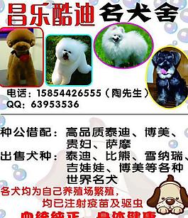 名犬名片圖片