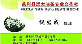 茶葉名片圖片