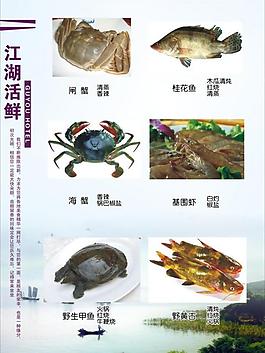 菜单图片