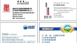 紐約名片圖片