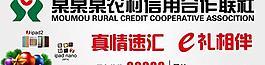 真情速匯 e禮相伴圖片