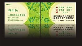 绿色名片图片