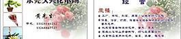 花木名片圖片