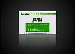 綠色名片圖片