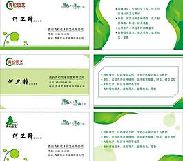 绿色名片图片