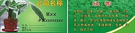 發財樹名片圖片