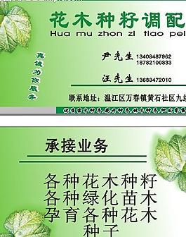 花木名片 種子調配圖片