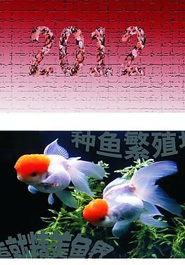 名片底紋圖片