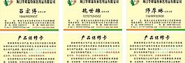 名片 黃色圖片