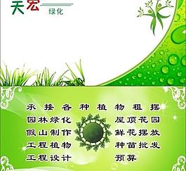 绿色名片图片