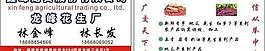 花生名片圖片