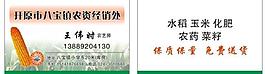 玉米名片圖片