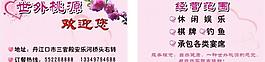 粉色名片图片