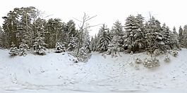 HDR雪地環(huán)境貼圖