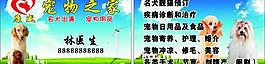 寵物名片圖片