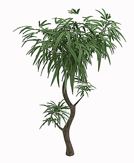 室外植物模型
