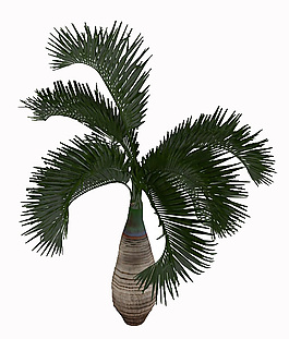 植物素材