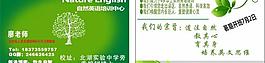 綠色 淡雅名片圖片