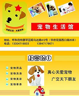 寵物名片圖片