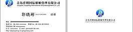 洋明國際名片圖片