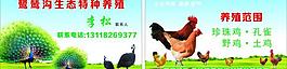 名片 養(yǎng)殖 生態(tài)圖片