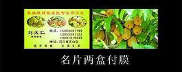 獼猴桃 名片圖片