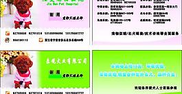 寵物名片圖片
