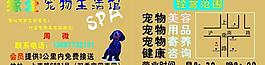 名片模板图片
