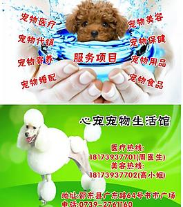 寵物生活館名片圖片