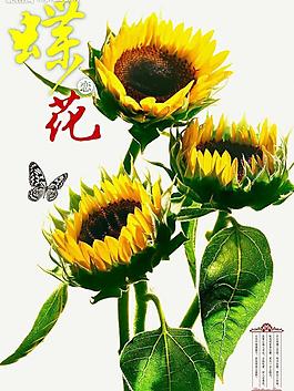 文化海報圖片