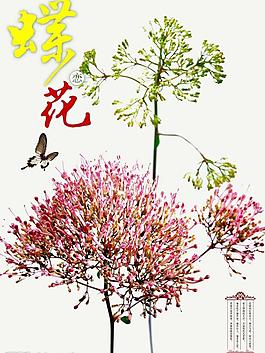 文化海報圖片