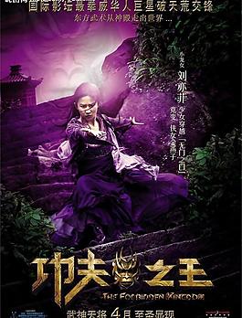 電影海報(bào)(功夫之王 角色版 劉亦菲)圖片