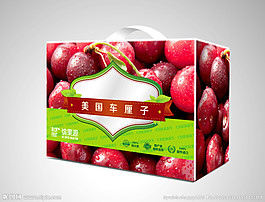 水果包裝設(shè)計(jì)