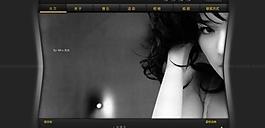 flash音樂網(wǎng)站圖片