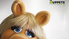 布偶 the muppets圖片